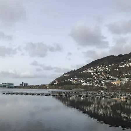 The View